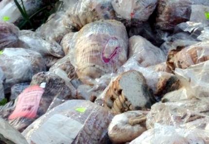 Setki wyrzuconych chlebów w Rusku