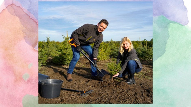 “Czas na las” - fundacja Drzewko Szczęścia zaprasza na wspólne sadzenie lasu