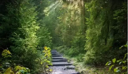 Dziś jest Dzień Ziemi. Nawet niewielkie ekozmiany poprawiają stan naszego środowiska