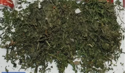 Miał przy sobie marihuanę