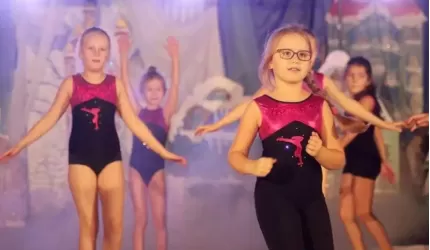 Finał WOŚP gminy Miękinia w Pisarzowicach (na żywo)