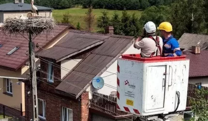 Firma Tauron obrączkuje młode bociany