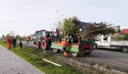 Jesienna akcja powiatowych nasadzeń rozpoczęta