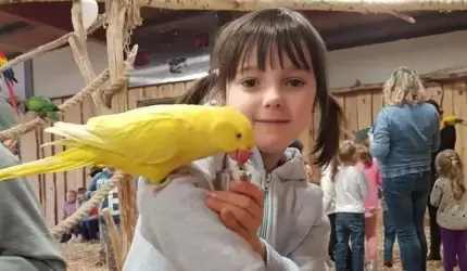 Przedszkolaki odwiedziły papugarnię