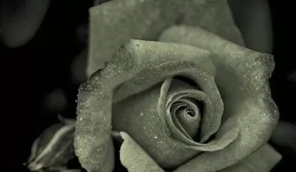 Kondolencje dla Rodziny śp. Andrzeja Ząbka