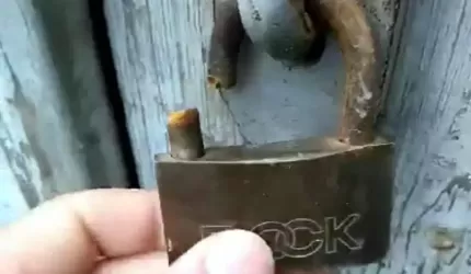 Złodzieje grasują w mieście! Mieszkańców proszę o czujność, a służby o patrole (list)