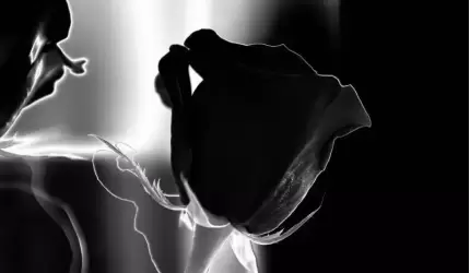 Z bólem serca zawiadamiamy, że odszedł śp. Józef Cichy