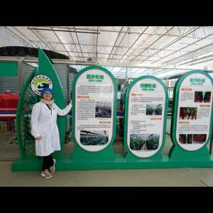 A woman in a lab coat stands by three informational displays about agricultural development stages.