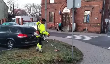 Kosić czy nie kosić?  Wydział Spraw Komunalnych Środowiska i Rolnictwa czeka na opinie mieszkańców