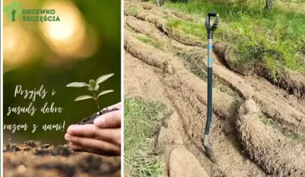 Czas na las - fundacja Drzewko Szczęścia zaprasza do wspólnego sadzenia drzew!