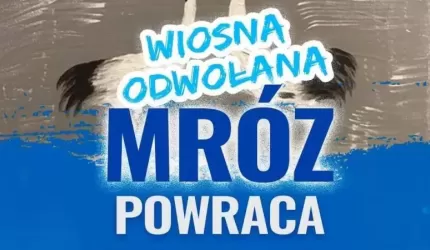 Mróz powraca do Powiatowego Centrum Kultury Alternatywnej