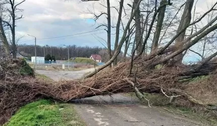 Zerwane linie energetyczne i dachy, powalone drzewa...