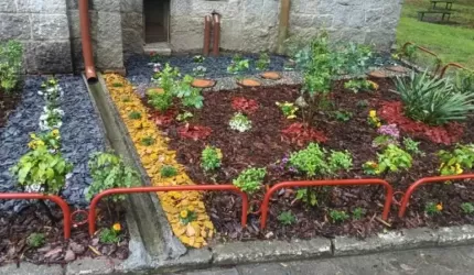 Razem sprawmy, by szpitalny ogród zakwitł radością!