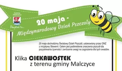 Z okazji Dnia Pszczół kilka ciekawostek z gminy Malczyce