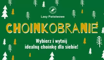 Nadleśnictwo Miękinia zaprasza na Choinkobranie!
