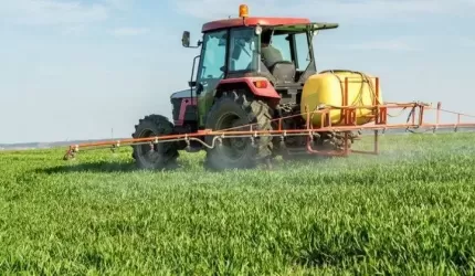 Dobre praktyki przy stosowaniu środków ochrony roślin