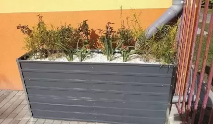 Ogród deszczowy dla Eko przedszkolaków