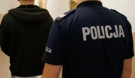 Aresztowani za kradzież części samochodowych