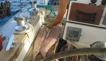 Średzianie w podróży dookoła świata. Z wyspy Sao Vicento do wyspy Sal