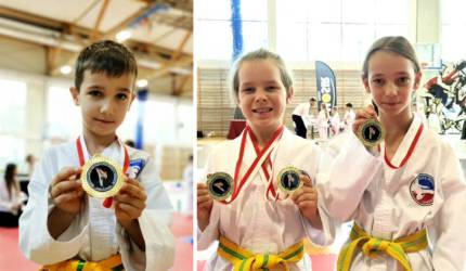 Sportowy triumf – zawodnicy taekwondo ze Środy Śląskiej z 10 medalami!