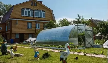 Uprawa warzyw, która daje obfite zbiory