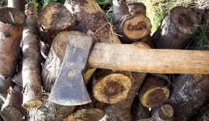 Rzucił się z siekierą na policjanta. Odpowie za usiłowanie zabójstwa?