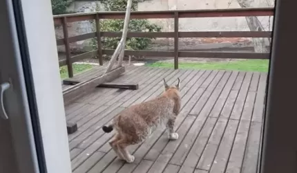 Ryś Zygmunt z wizytą w powiecie średzkim