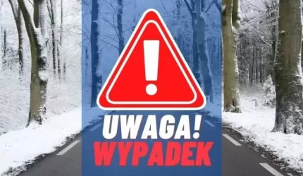 Policja: Przyczyną nagłego hamowania były przebiegające przez drogę zwierzęta