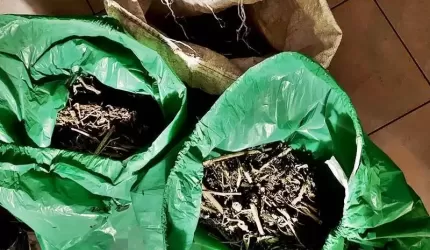 Ponad 7 kg narkotyków w mieszkaniu na terenie powiatu średzkiego