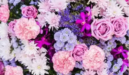 Z okazji Dnia Matki serdeczne życzenia składa Zdzisław Kruszelnicki