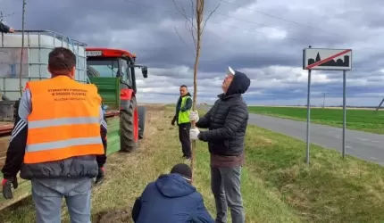 Wiosnę przywitali akcją nasadzeń drzew