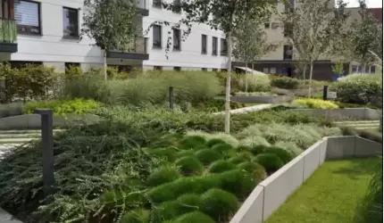 Dlaczego warto zdecydować się na dach zielony?