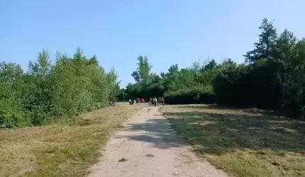 Akcja sprzątania terenów wokół zbiornika wodnego w Ujeździe Górnym