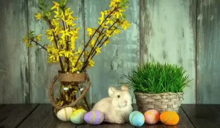 Życzenia świąteczne od firm i organizacji