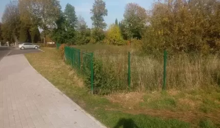 Dlaczego wszystko zostało wykoszone po bokach, a środek nie? (list do redakcji)