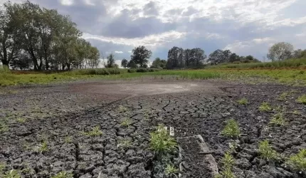 Czy czeka nas krajobraz pustyni? Pyta mieszkaniec...