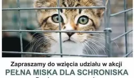 „Pełna miska dla schroniska” - akcja PZSP nr 2