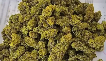 34-latek aresztowany za posiadanie narkotyków