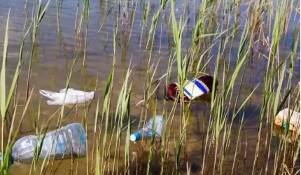 Nie wszyscy śmieciarze pozostają bezkarni