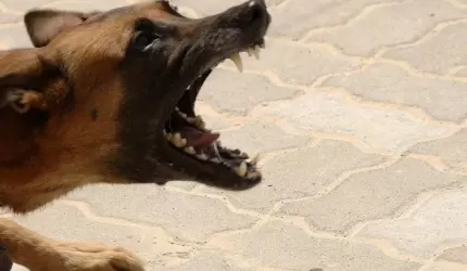 Czytelniczka: "Proszę o pomoc, zanim dojdzie do tragedii"