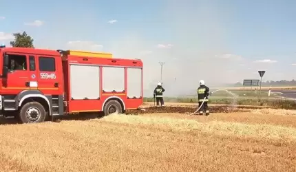 Na ratunek papudze, alarm w żłobku i pożary (z raportu strażaków)