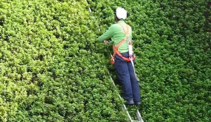 Bezpieczna praca na wysokości