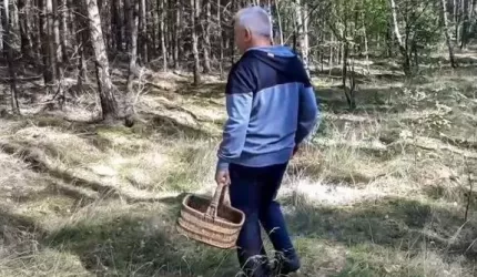 Grzybiarze! Apel o rozwagę