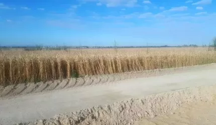 Na terenie gminy Miękinia trwa budowa ścieżki rowerowej