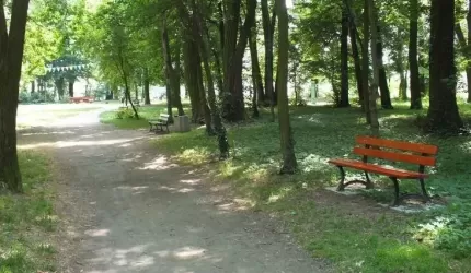 Kto uszkodził lampę w parku w Lutyni?