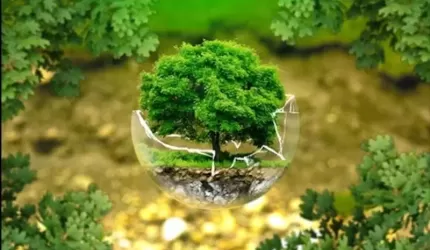 Firma GREEN ENERGY w Komornikach rozdaje sadzonki drzew!