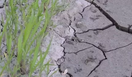 Wniosek oszacowania szkód w gospodarstwie rolnym