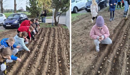 Tajemniczy Ogród Nadziei – pełen żonkili, pełen dobra