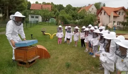 Zajęcia z pszczelarzem w Przedszkolu Publicznym nr 1 w Środzie Śląskiej