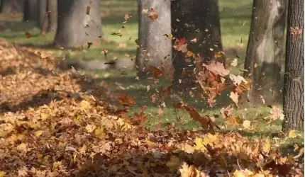 Uwaga! Silne wiatry na naszym terenie